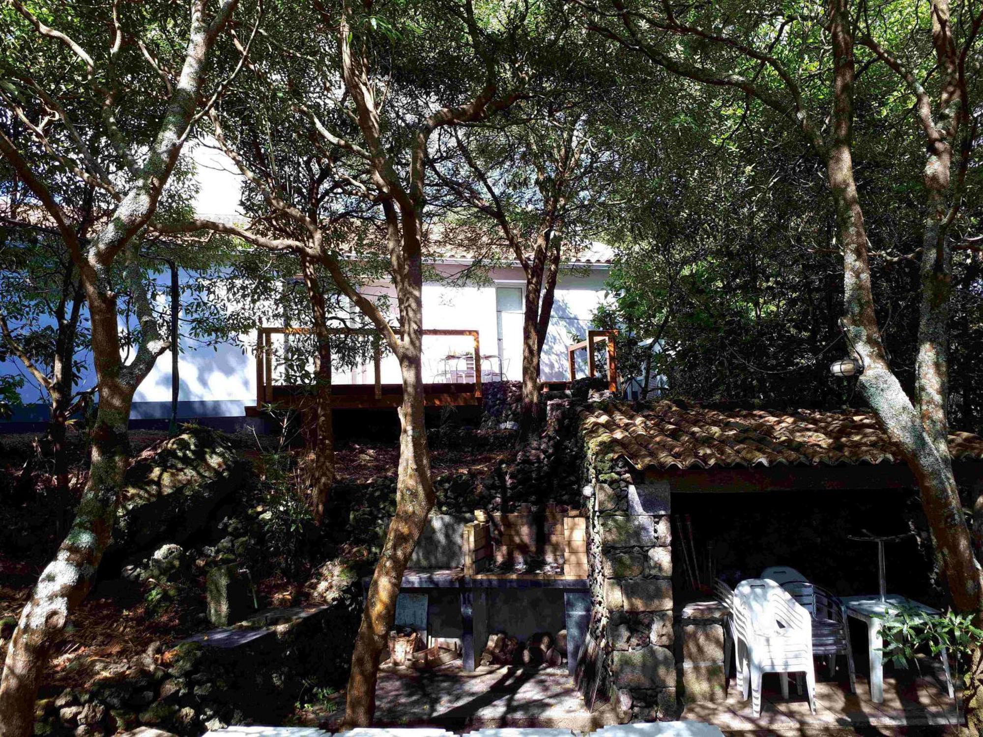 Quinta De Sao Caetano - Sao Miguel Acores Populo  Buitenkant foto