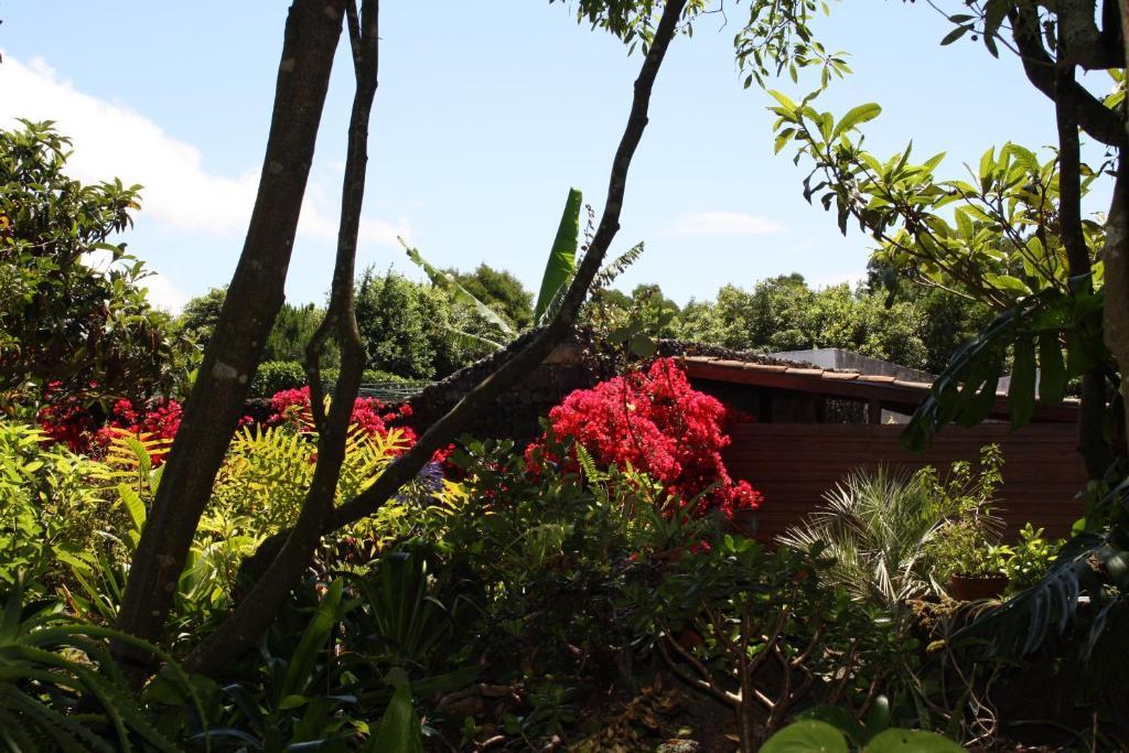 Quinta De Sao Caetano - Sao Miguel Acores Populo  Buitenkant foto
