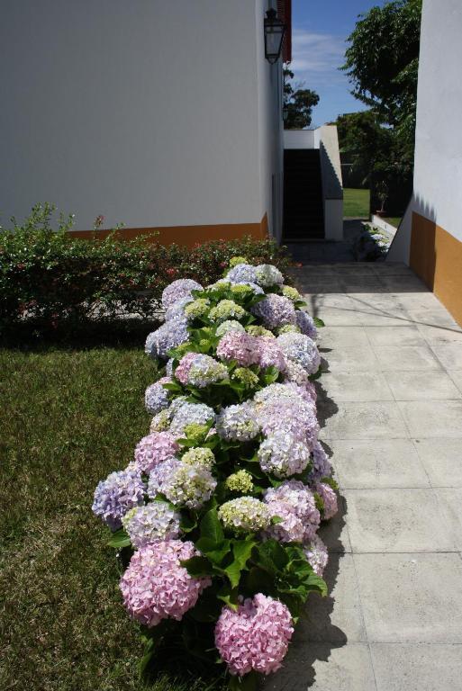 Quinta De Sao Caetano - Sao Miguel Acores Populo  Kamer foto